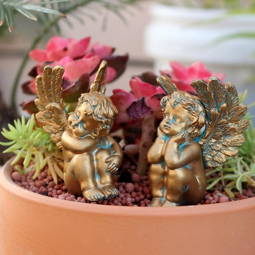 Decorazione giardino delle - decorazione,
