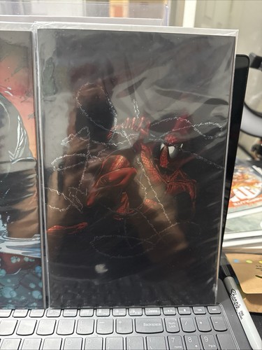 Spider man todd - spider-man, #1