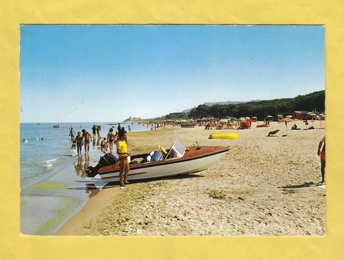 Pineto spiaggia pineta - spiaggia, e