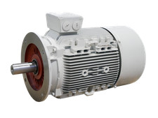 Siemens 1LA91892WA99-ZN60