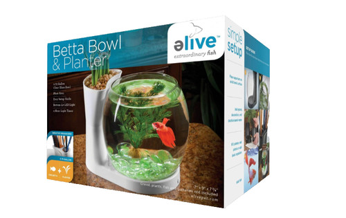 Elive betta fish bowl - betta,