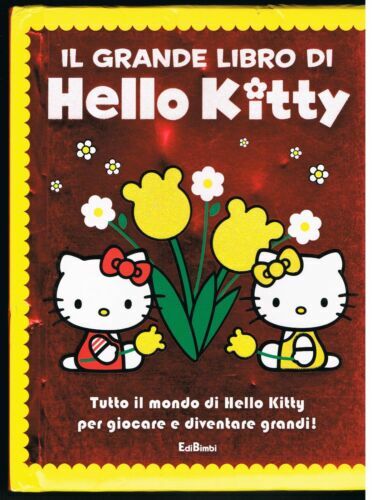 Grande libro hello kitty - grande, di