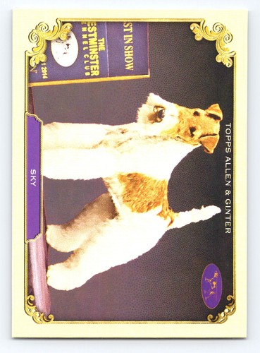 2024 topps allen - allen,