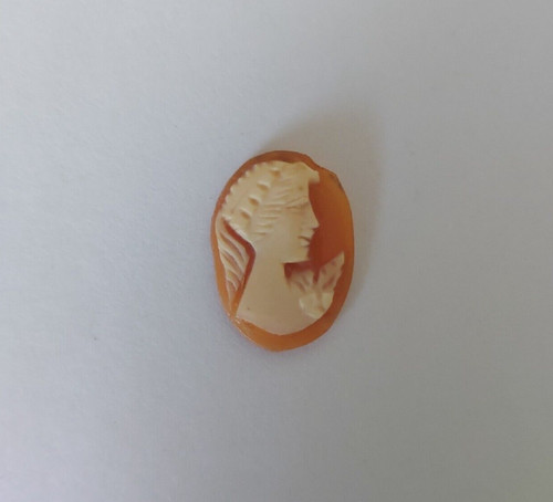 Cammei camei cameos conchiglia - cameos,