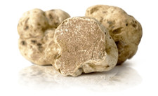 Tartufo Bianco d'Alba Fresco  Tuber Magnatum Pico