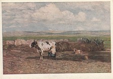 C1 - Cp Cartolina Beppe Ciardi  : La Mungitura - Illustrata - Fg Nvg