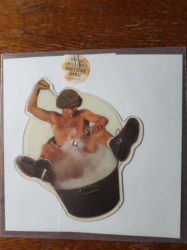Picture disc she s got - ac/dc,