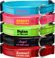Collare Cane Personalizzato in