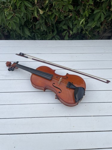 Violino studente primavera - studente,