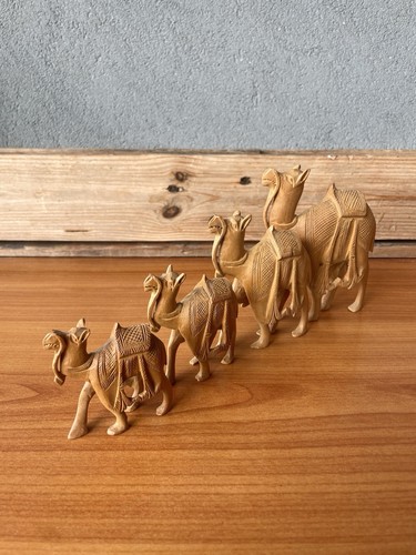 Set cammelli legno - cammelli,