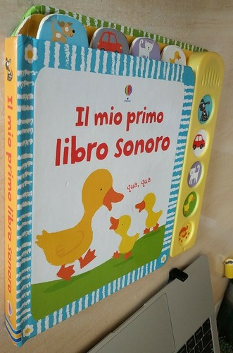 Mio primo libro - libro, 2010
