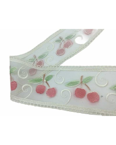 Passamaneria merletto organza - passamaneria,