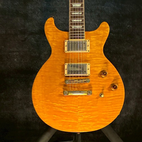 Gibson les paul standard - paul,