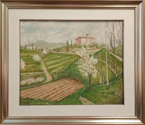 Lovisetto aldo padova 1898 - aldo,