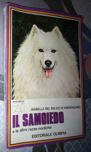 Samoiedo altre razze - samoiedo,