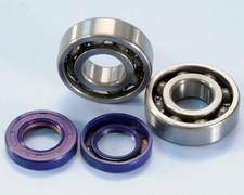 Polini Kit Revisione Albero