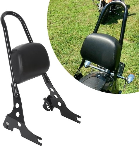 Detachable sissy bar passenger - sissy,