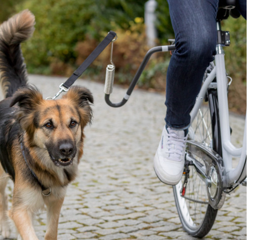 Set bicicletta trixie - bicicletta, con