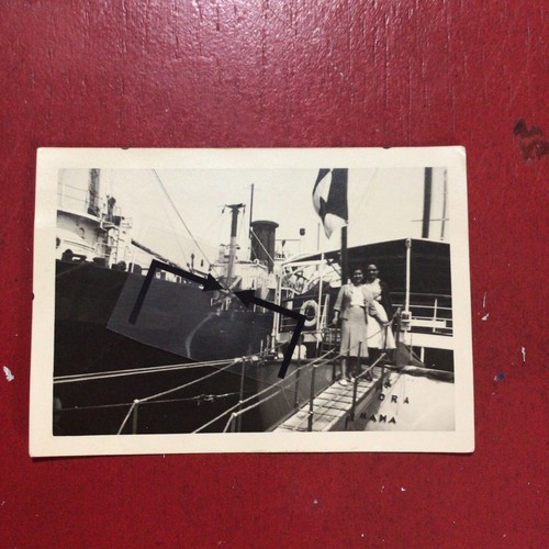 Livorno,porto,barca,1959,anima