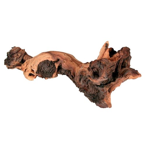 Radice naturale mopani small - radice,