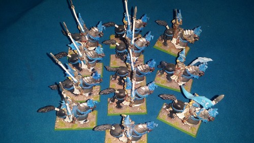 Warhammer cavalieri elfi - -,