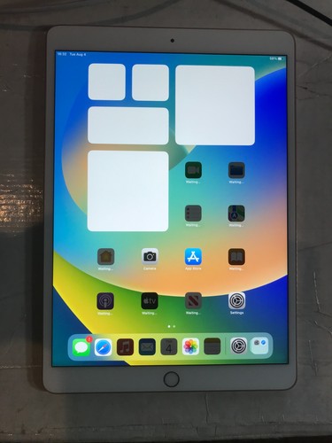 Apple ipad air - ipad,