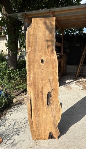 Tavola legno ulivo - tavola, di