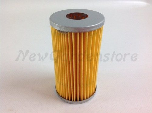 Filtro carburante trattorino
