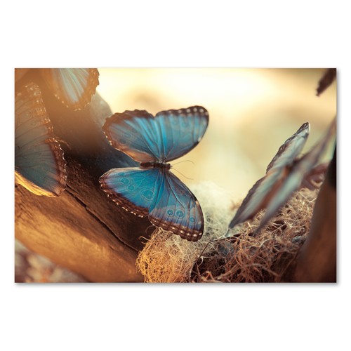 Postereck 0791 poster - 0791,