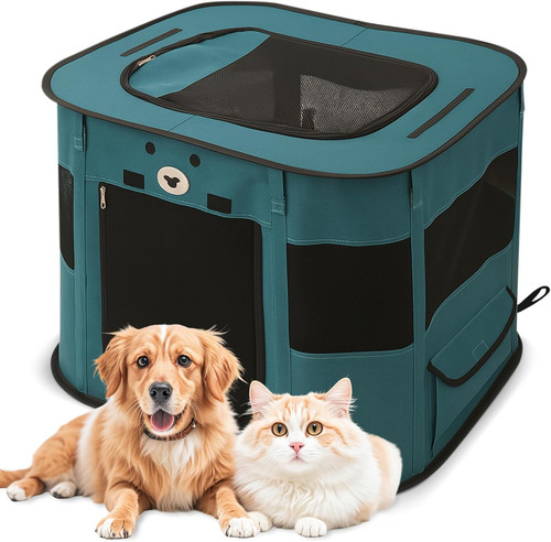 Recinto per cani interno - recinto,