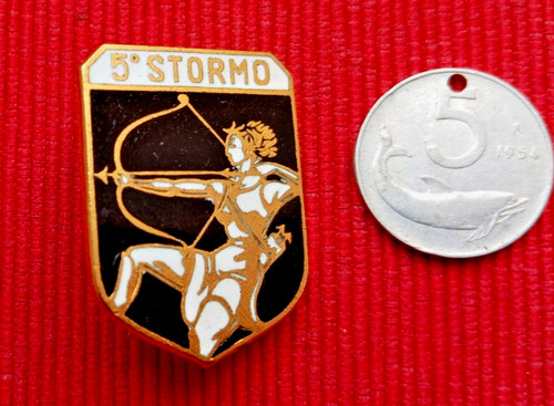 Distintivo spilla stormo - spilla, 5°