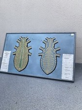 ?INSEGNA tabella didattica scuola MODERNARIATO Originale Vintage anni 60 70 80