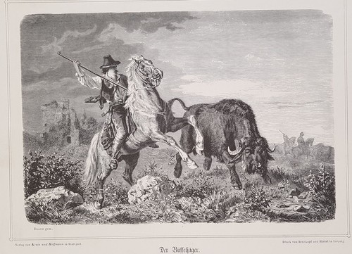 Der buffeljager cowboy - der,