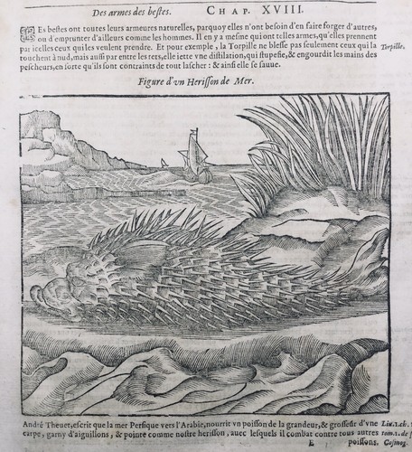 Ichtyologia 1614 diodon - 1614,