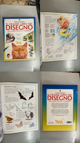 Grande libro del disegno - libro,