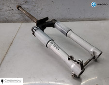 647593 Forcella Steli Stelo