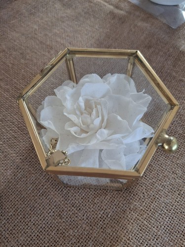 Fiore stabilizzato vero - vero, di