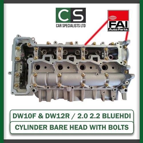 Testa cilindro nuda citroen - nuda,