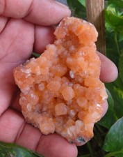 Campione Di Minerali Stilbite