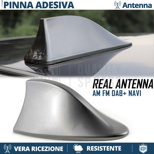Antenna pinna squalo - di, grigia
