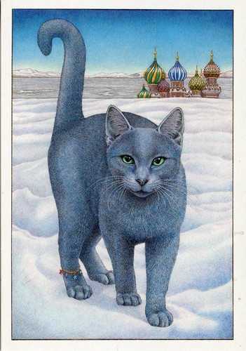 Postcard carte postale - postcard,