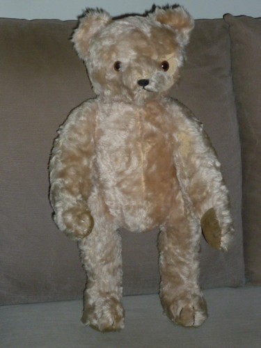 Ancien ours nounours - ours,