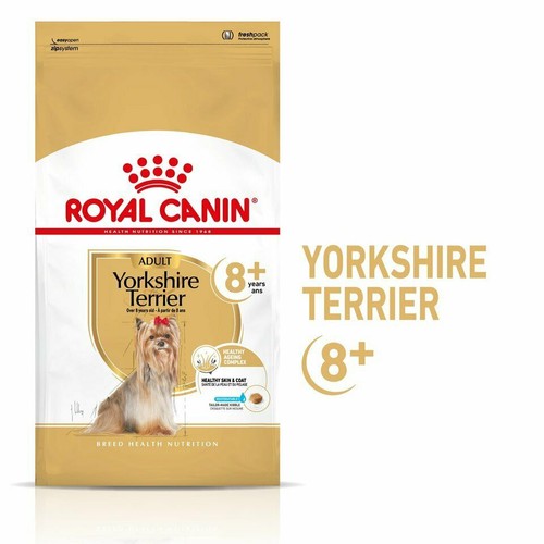 Royal canin yorkshire terrier - royal,