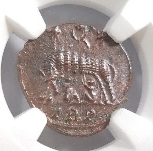 Gemelli lupo costantino ngc - i,