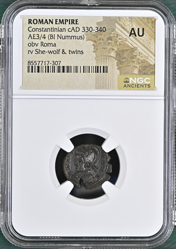 Gemelli lupo costantiniani - gemelli, ngc
