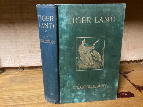 1913 1st tigerland - 1913,