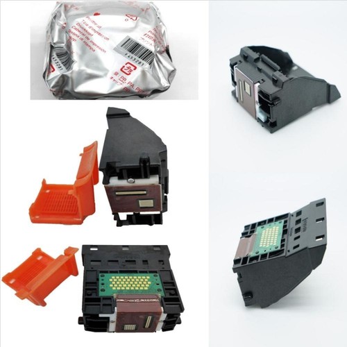 Qy6 0064 - qy6-0064, testina