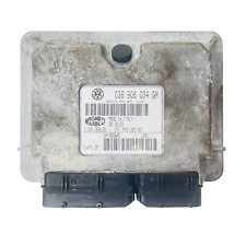 Centralina motore Seat Ibiza