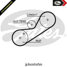 Cinghia Distribuzione Pompa
