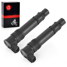 2 Pack Ignition Coils For
